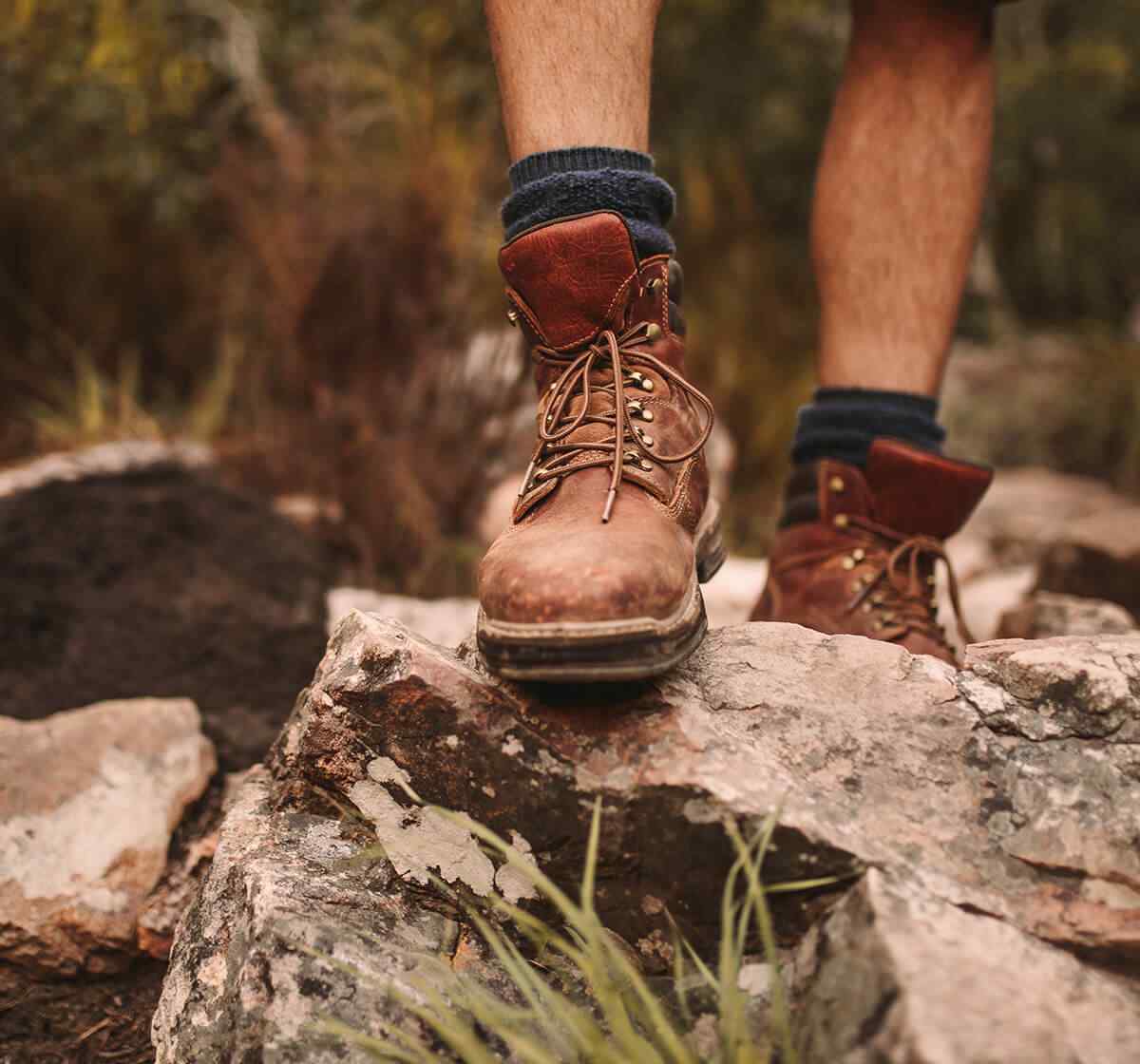 image_card_01 https://www.loboprocoach.com/wp-content/uploads/2021/05/image_card_01.jpg